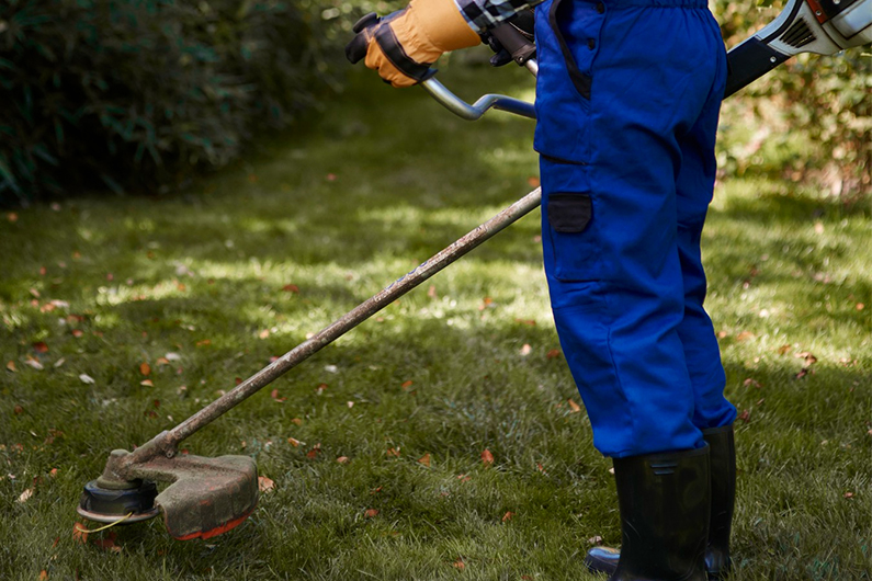 Abattage de haie | 1 Dole elagage 14