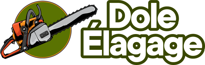Dole élagage Champigny sur marne